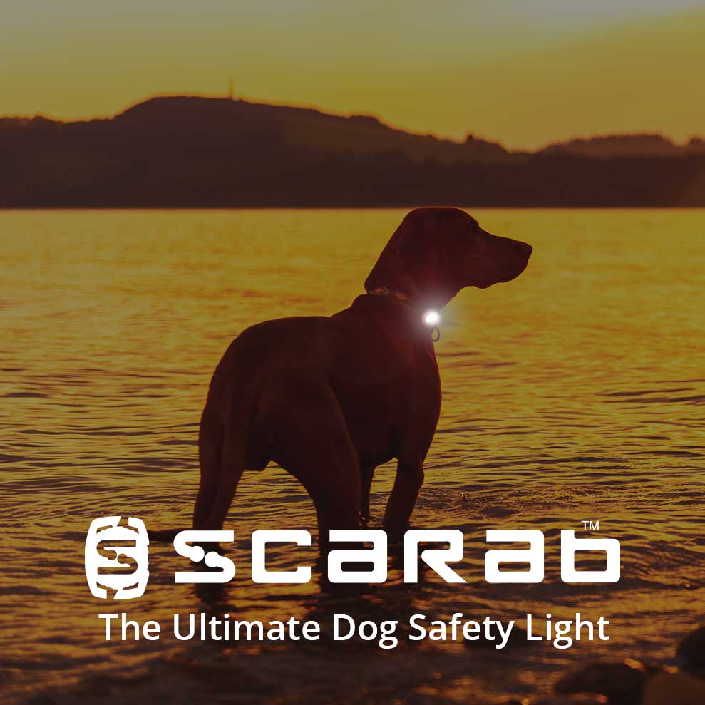 Scarab Trio - Rechargeable Dog Safety Light
