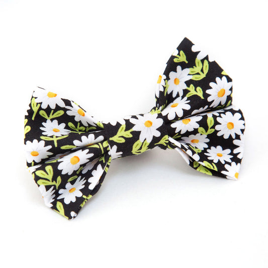 Daisy Dog Bow